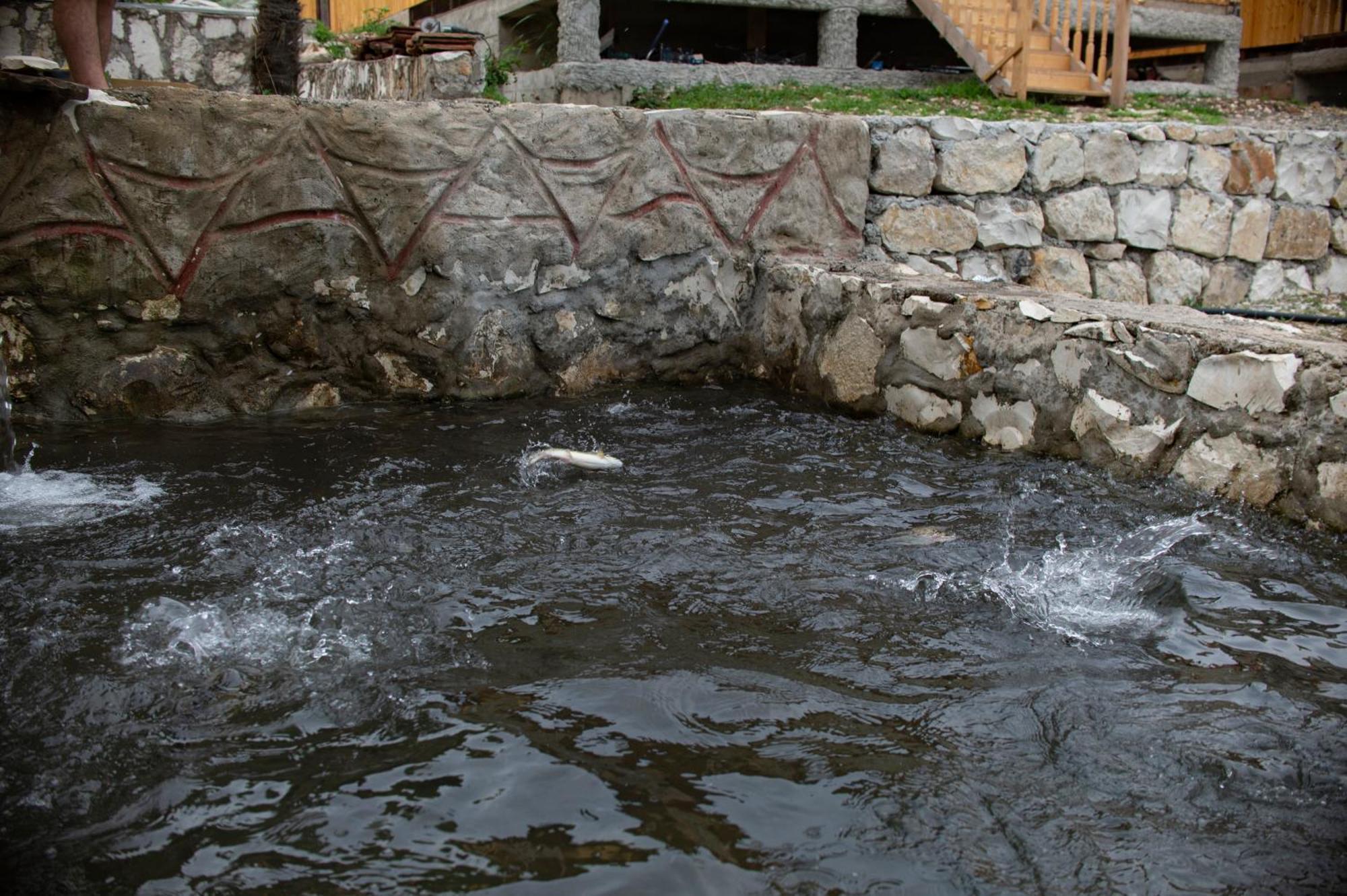 Gordela Hotel Gordi Экстерьер фото